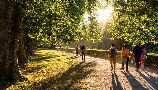 Bild eines Parks mit grünen Bäumen und einer Wiese, in welchem Fußgänger spazieren gehen.