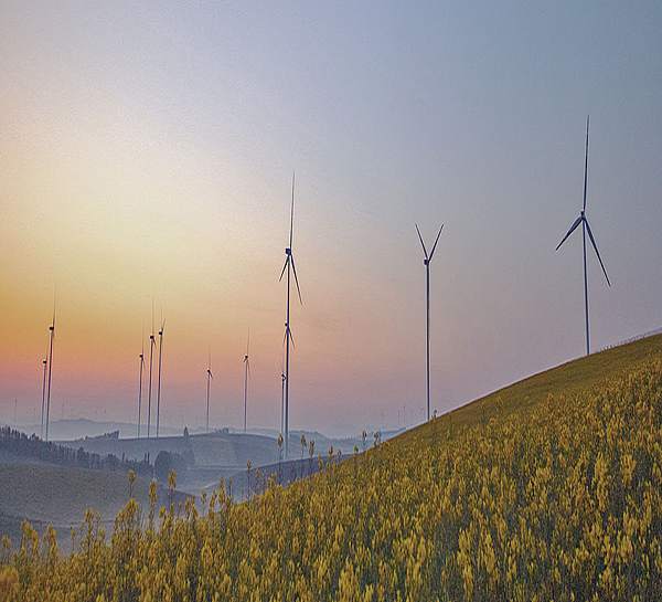 Münchener Verein Nachhaltigkeitsstrategie_Windkraftanlagen auf einem Rapsfeld im Morgenrot