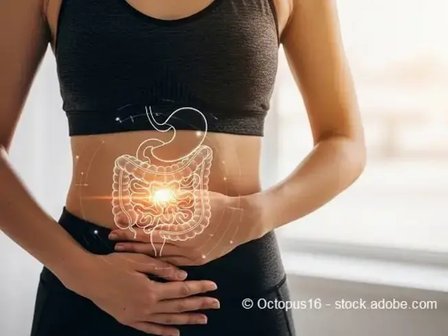 Übersicht eines aufgezeichneten Organtraktes auf einem Oberkörper.