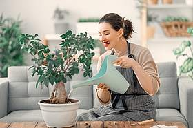 Junge Frau mit braunen Haaren und Sch&uuml;rze f&uuml;llt Wasser aus einer Gie&szlig;kanne in eine Pflanze im Wohnzimmer.