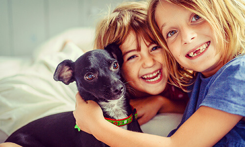 Zwei Freundinnen im Kinderalter halten einen Hund im Arm und strahlen um die Wette - Private Zahnzusatzversicherung vom Münchener Verein