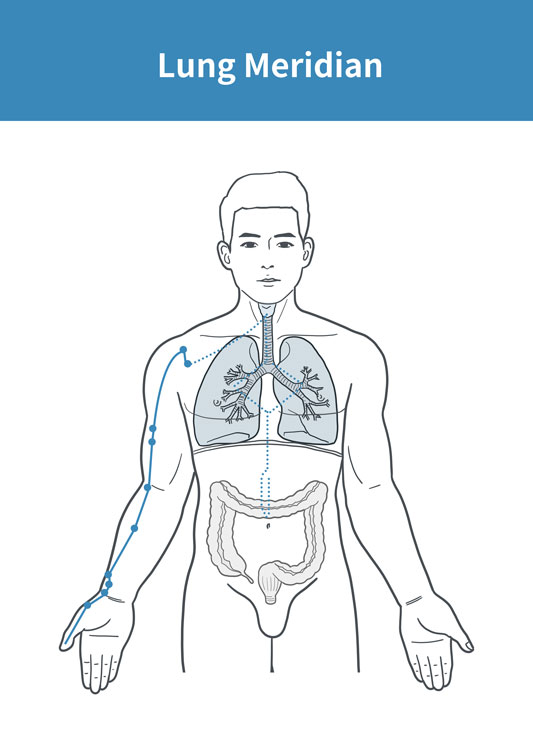 Lungenmeridian