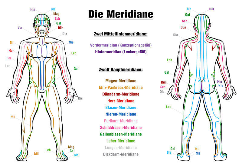 Die zwölf Hauptmeridiane lassen sich in Yin- und Yang-Meridiane unterteilen - Ratgeber Zahngesundheit - Münchener Verein