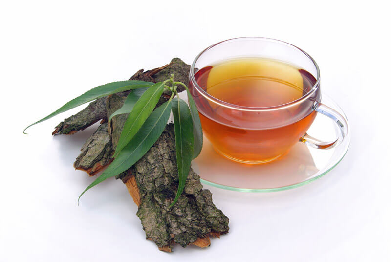 Hausmittel gegen Kopfschmerzen - Tee aus getrockneter Weidenrinde