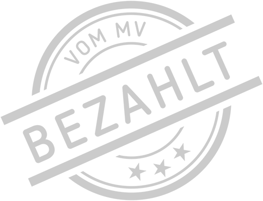 Signet "Vm MV bezahlt" - Leistungsbeispiel Flottenversicherung
