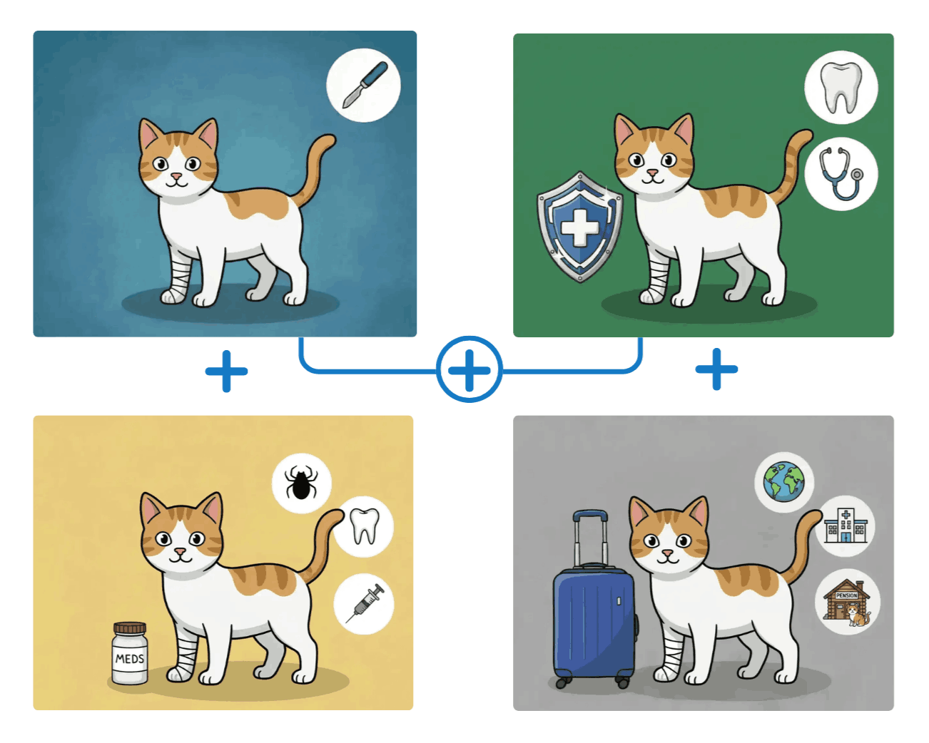 Grafik einer &Uuml;bersicht der verschiedenen Tarifoptionen.